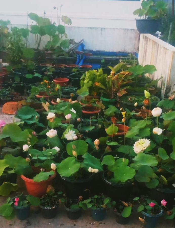 Raelyn'S Homestay Kochi Exterior photo