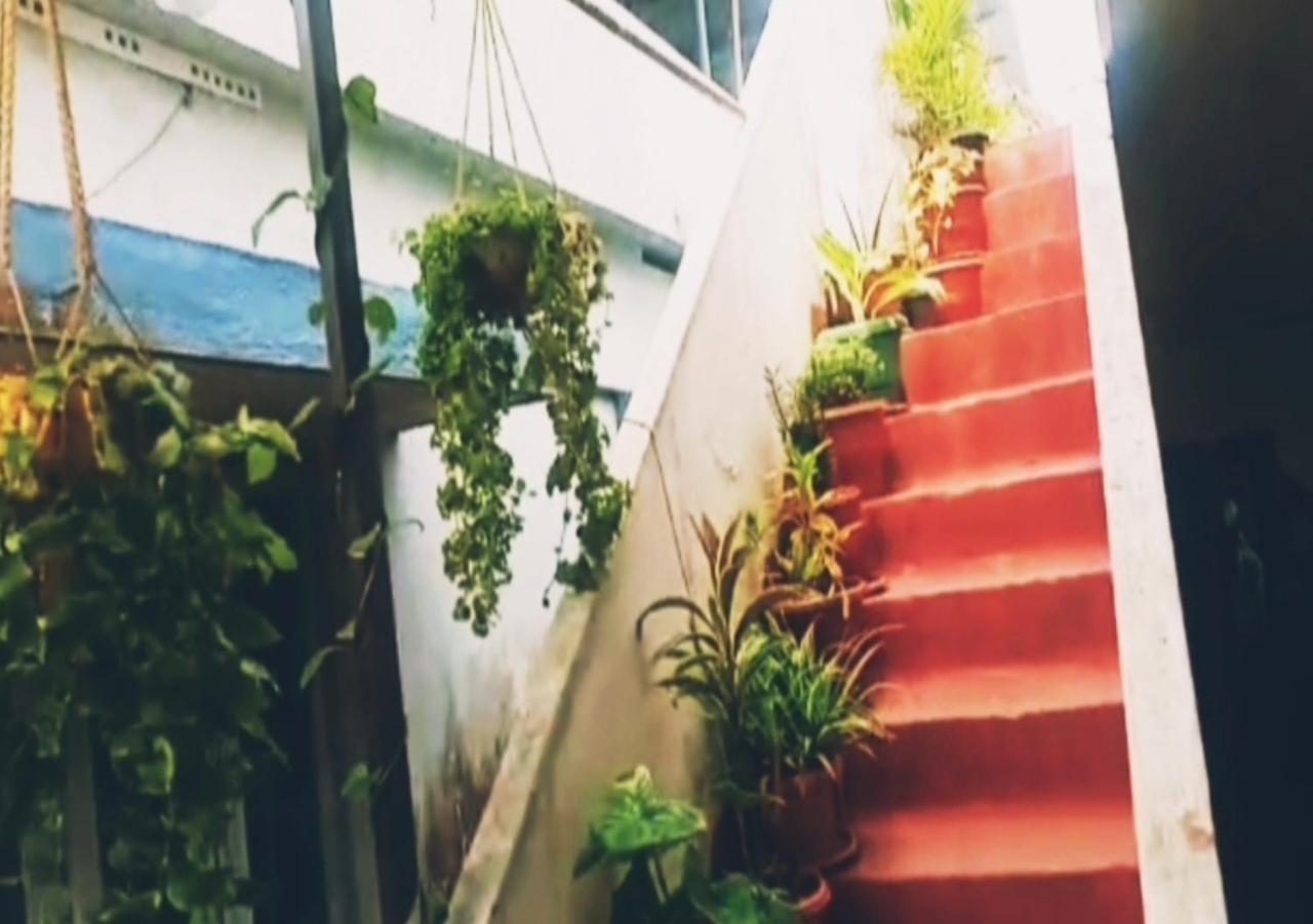 Raelyn'S Homestay Kochi Exterior photo